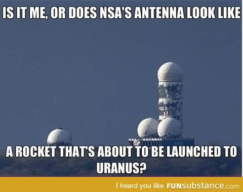 Just nsa's antenna