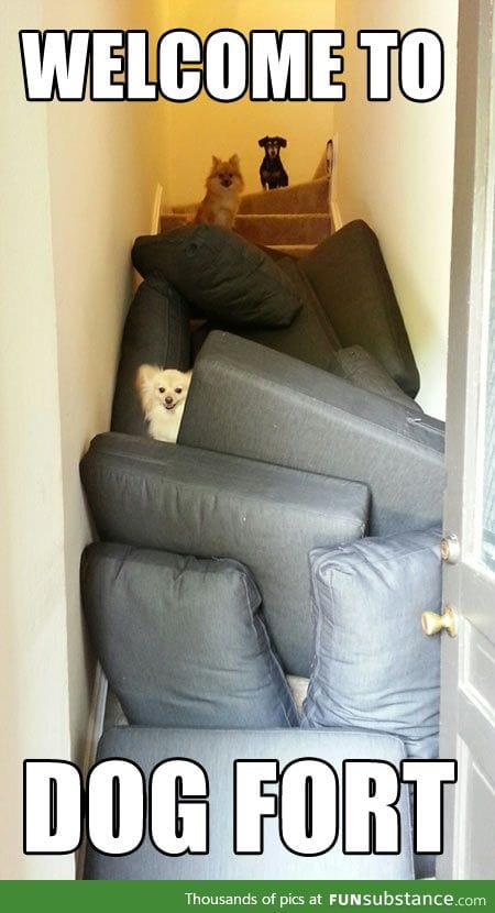 Dog fort