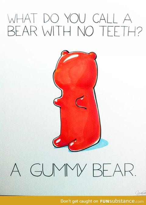 A bear with no teeth