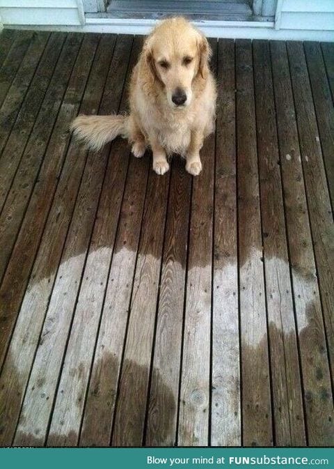 Someone fell asleep in the rain