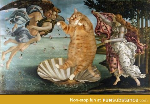 Googled "Classic cats" on accident.  Was not disappointed.