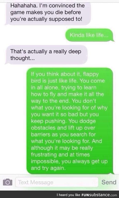 Someone went pretty deep into flappy bird