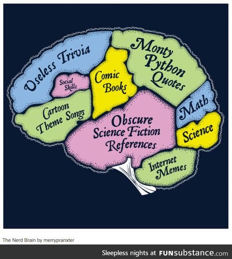 My brain