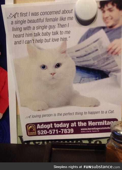 Our local animal shelter is getting pretty creative with their posters