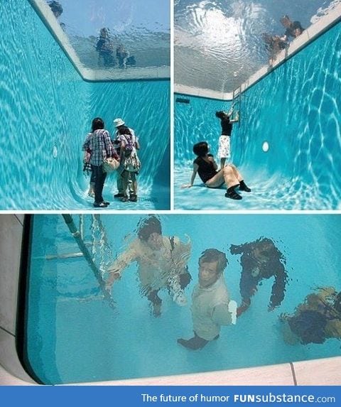 Did This Pool Fool You?