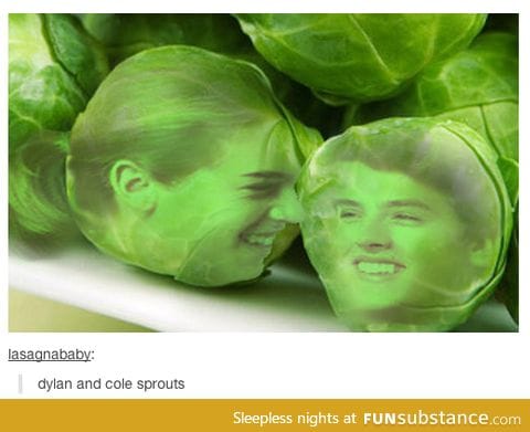 The sprouts brothers