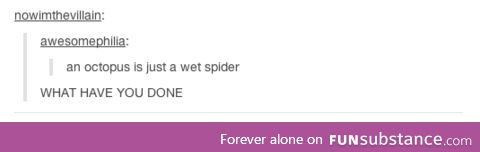 A big wet spider