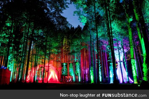 Electric forest music festival, rothbury, michigan