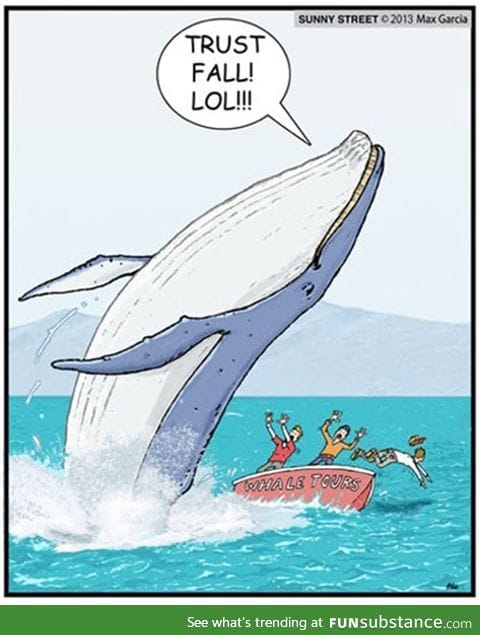 Oh whale