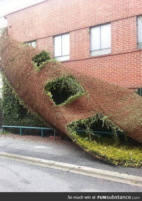 A building shedding like a snake