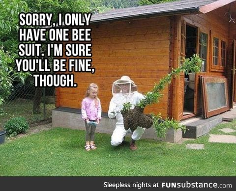 I only have one bee suit