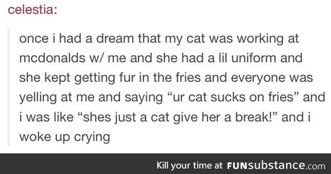 McDonald's cat