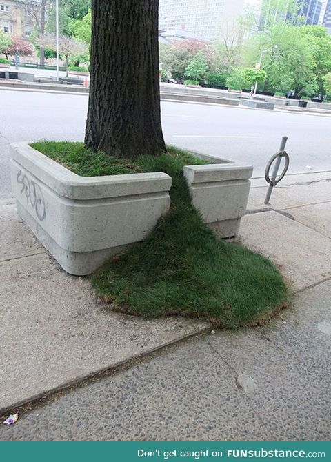 Leaking grass