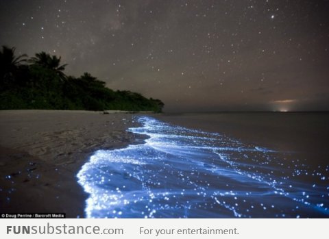 Glowing sea in Maldives caused by bioluminescence