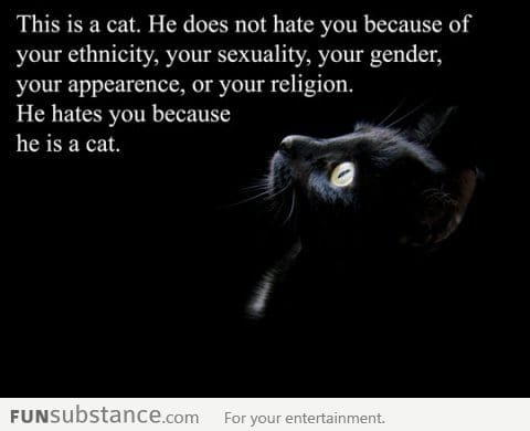 Truth about cats