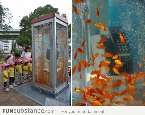 Goldfish phonebooth