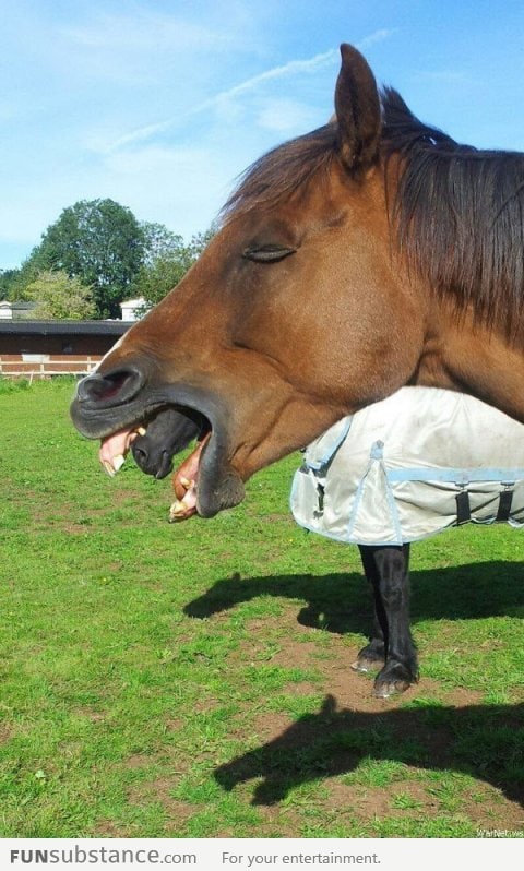 Alien horse