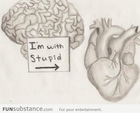 The brain and heart