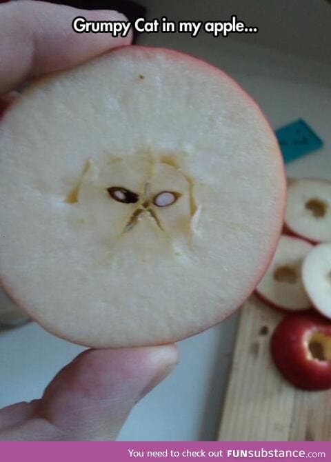 Look who I found in the center of my apple