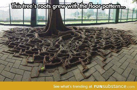 Square roots