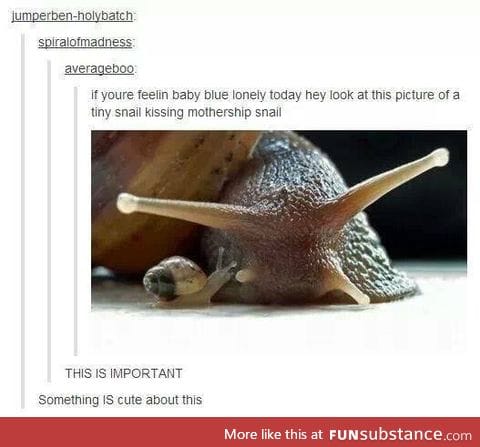 Mothership snail