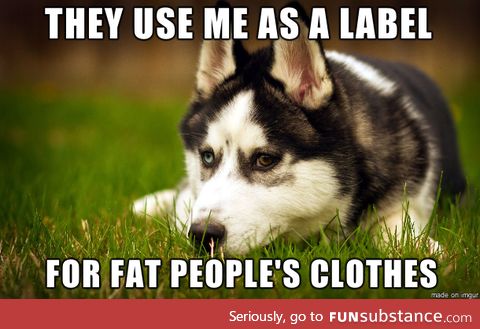 Poor huskies,