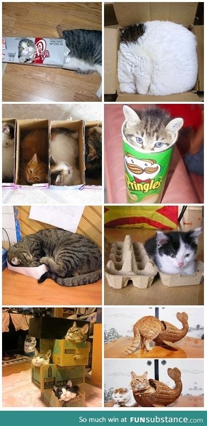 If I fits, I sits compilation