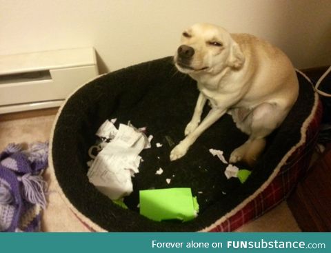 Go on, tell them I ate your homework. They’ll never believe you.