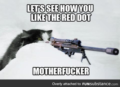 Sniper cat