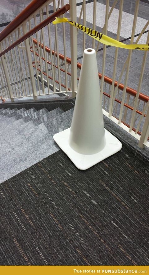 A rare albino cone found in the wild