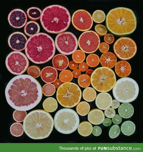 Different shades of citrus