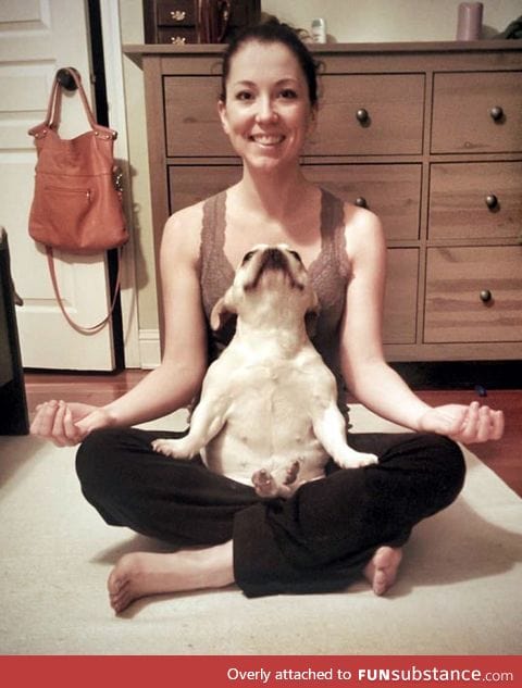 This dog loves his yoga