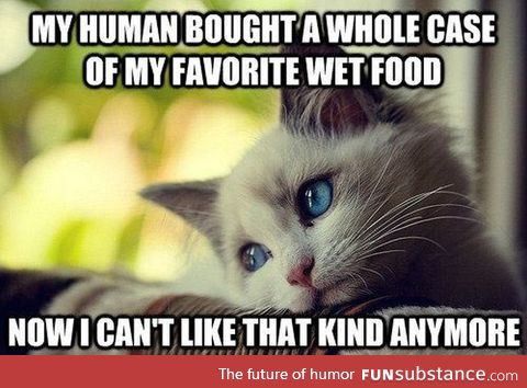 First world cat problems