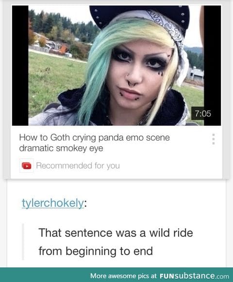 You lost me at goth crying panda