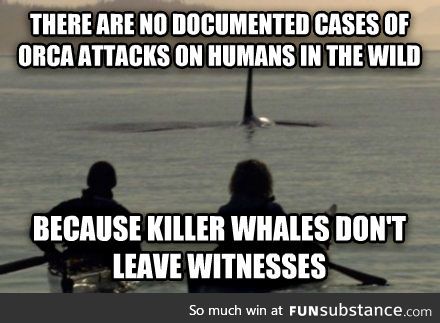 Killer whales