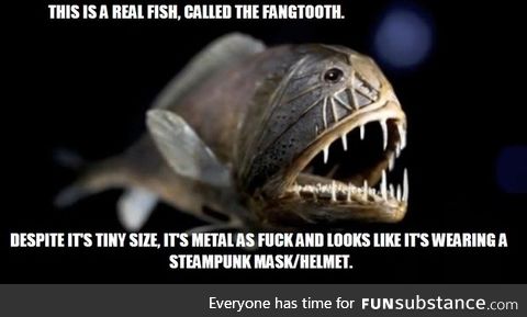 Steampunk fish