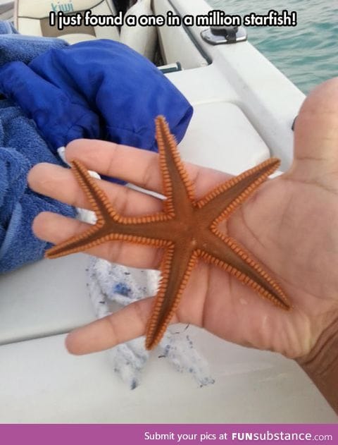 Strange starfish
