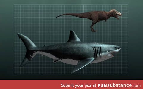 Megalodon and T-Rex