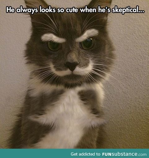 Skepticat