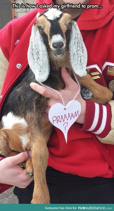 Will you goat' o the prom with me?