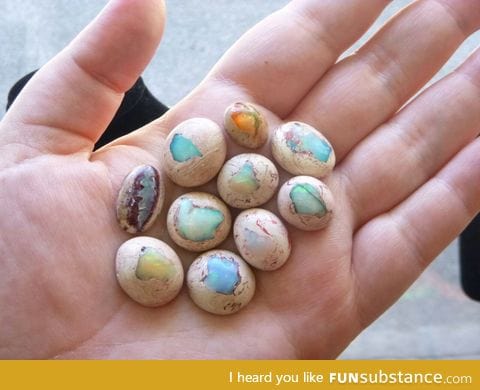 These opals look like mini hatching dragon eggs
