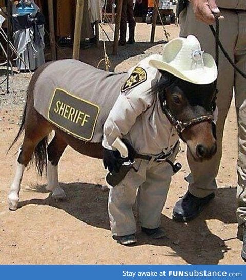 Sheriff cutbacks