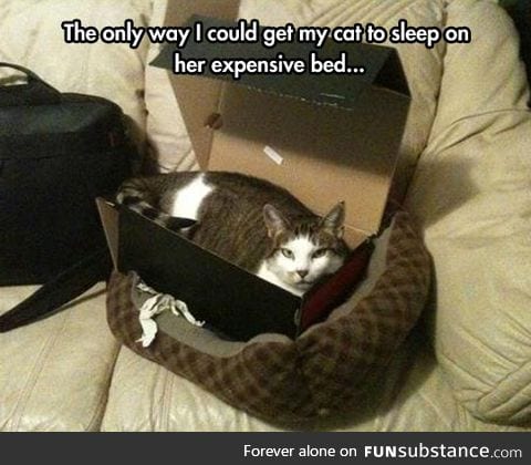 Cat bed in use