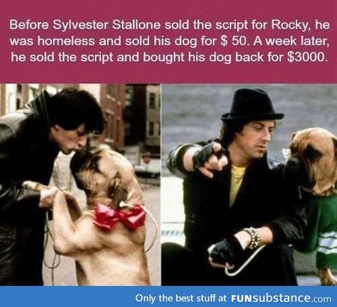 Sylvester Stallone is a great man