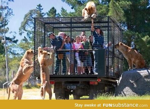 A Zoo in New Zeland locks up visitors instead of animals