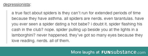 Proof that spiders are nerds