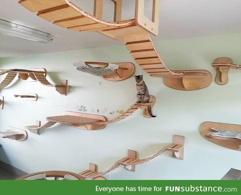 Giant suspended cat playground