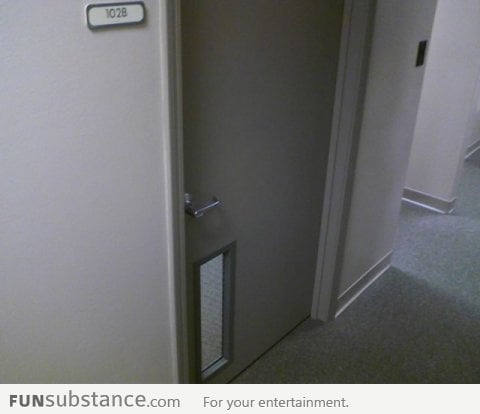 This door looks wrong