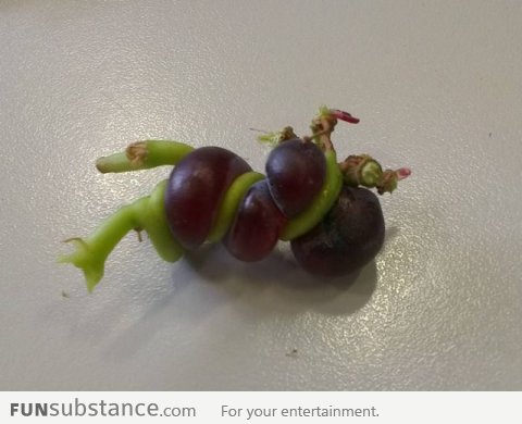 The most weird grapes I have ever seen