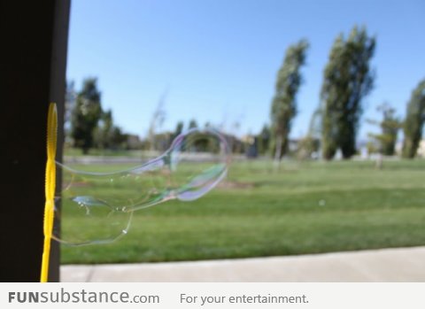 Just a photo of a bubble